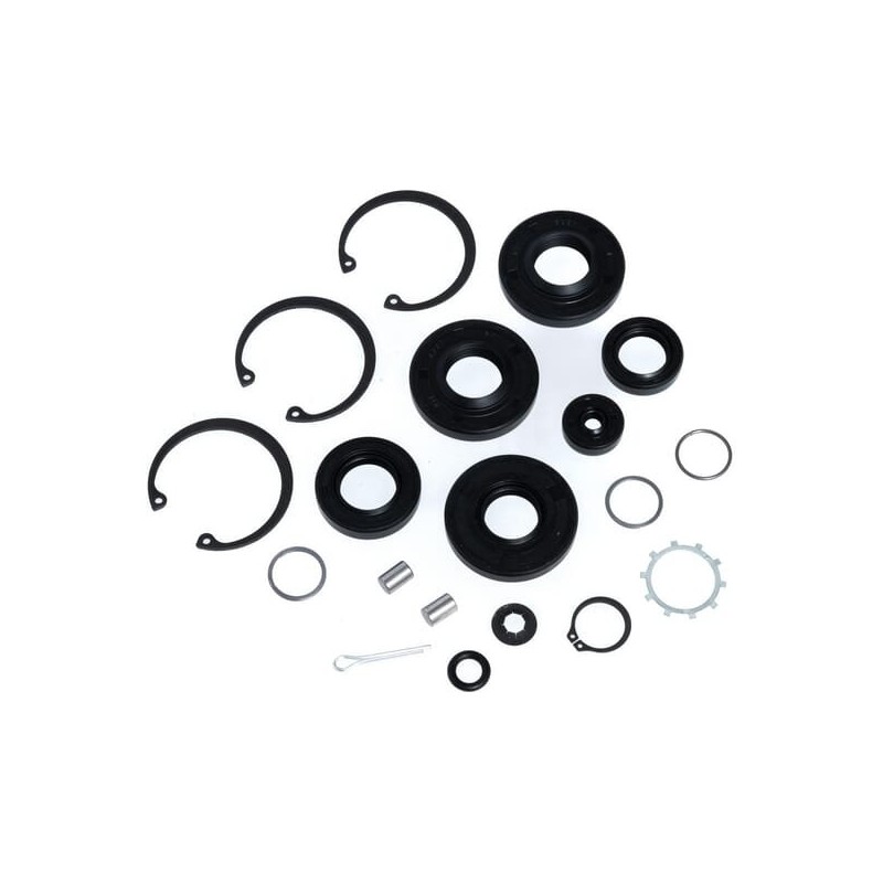 Kit de juntas y juntas tóricas Hydro-Gear originales 70463HYD