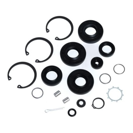 Kit guarnizioni e O-ring 70463HYD ORIGINALE Hydro-Gear | Newgardenstore.eu