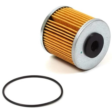 Kit de filtration 71943HYD ORIGINAL Hydro-Gear | Newgardenstore.eu