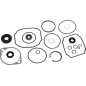 Kit guarnizioni revisione 70525HYD ORIGINALE Hydro-Gear