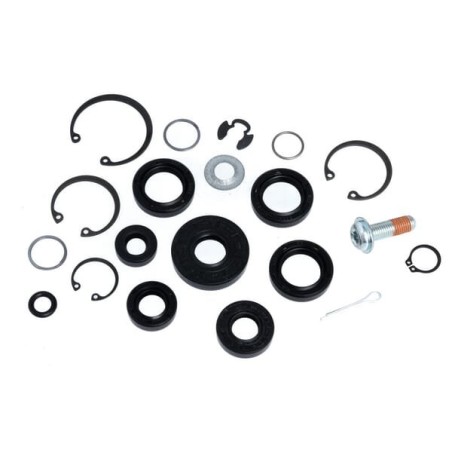 Kit guarnizioni 71554HYD ORIGINALE Hydro-Gear | Newgardenstore.eu