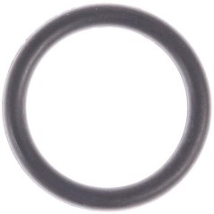 Anillo de sellado original Peerless P788053 | Newgardenstore.eu