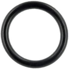 O-Ring P788076 ORIGINAL Peerless | Newgardenstore.eu