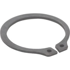 Circlip d'origine Peerless P788018 | Newgardenstore.eu