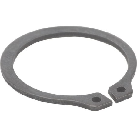Anillo de retención original Peerless P788018 | Newgardenstore.eu