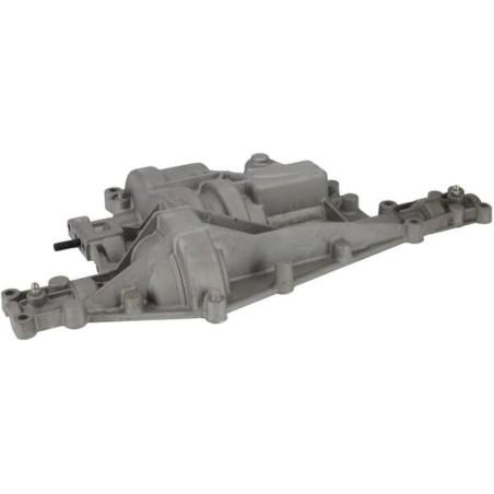 Alloggiamento P770107A ORIGINALE Peerless | Newgardenstore.eu