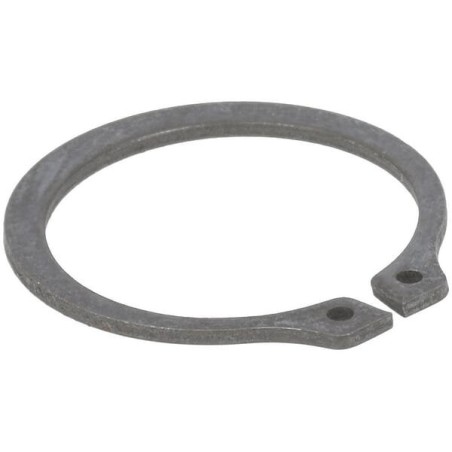 Anillo de retención Peerless P788019 original | Newgardenstore.eu