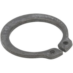 Circlip d'origine Peerless P792161 | Newgardenstore.eu