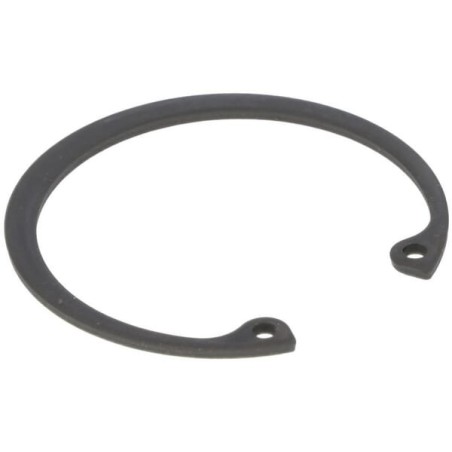 Anillo de retención Peerless P792119 original | Newgardenstore.eu