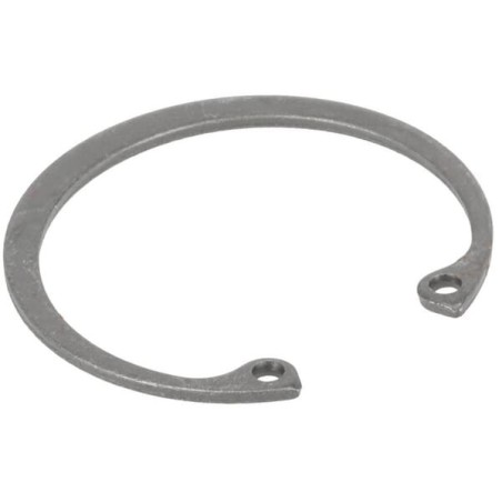 Anillo de retención original Peerless P792016 | Newgardenstore.eu