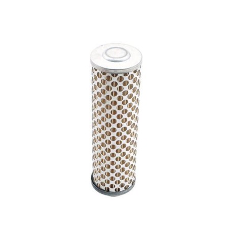 Luftfilter Rasentraktor kompatibel TECUMSEH OVM120 - TVM170 - TVM220 | Newgardenstore.eu