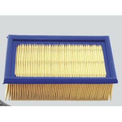 Air filter 359.131.300 compatible ADX300 ADX600 engine 359 131 184x112 | Newgardenstore.eu