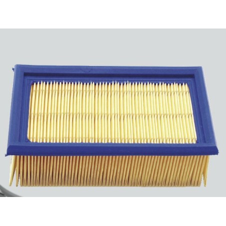 Air filter 359.131.300 compatible ADX300 ADX600 engine 359 131 184x112 | Newgardenstore.eu