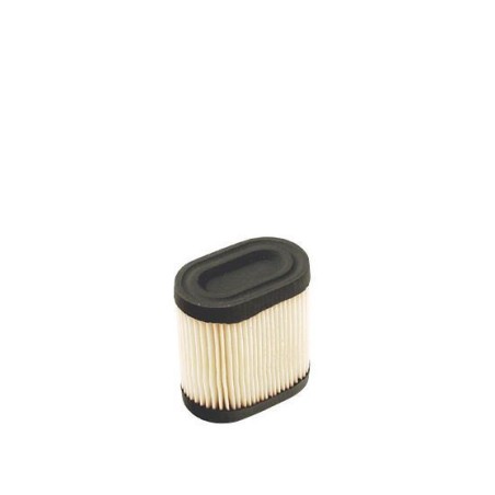 Filtro aria tagliaerba rasaerba TECUMSEH LEV100 LEV115 OVRM105 | Newgardenstore.eu