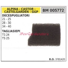 Air filter ALPINA brushcutter engine 21 25 28 30 34 40 005772 | Newgardenstore.eu