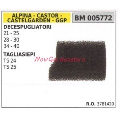 Filtro aria ALPINA motore decespugliatore 21 25 28 30 34 40 005772 | Newgardenstore.eu