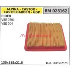 Air filter ALPINA lawn mower engine rider VBE 0701 704 028162 | Newgardenstore.eu