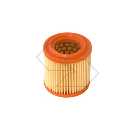 Filtro aria AS MOTOR vari modelli tagliaerba rasaerba tosaerba 4221 | Newgardenstore.eu