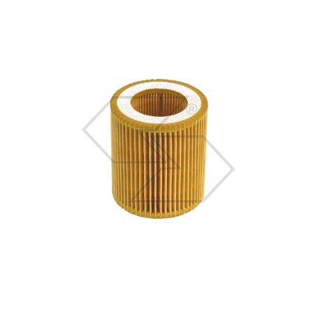 Filtro aria AS MOTOR vari modelli tagliaerba rasaerba AS21 AS26 AS45 | Newgardenstore.eu