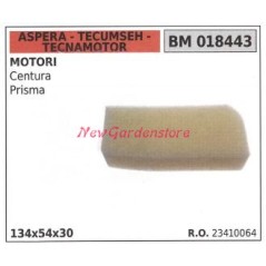 Filtre à air ASPERA pour moteur de tondeuse CENTURA PRISMA 018443 | Newgardenstore.eu