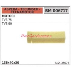 Filtre à air ASPERA pour moteur de tondeuse TVS 75 90 006717 | Newgardenstore.eu