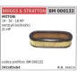 BRIGGS&STRATTON filtro aire cortacésped cortacésped 14 16 18HP vertical