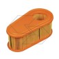 Filtro aria Compatibile BRIGGS STRATTON tagliaerba  DOV 775 850 875 795066