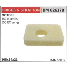 Filtre à air BRIGGS&STRATTON tondeuse 550 e ex series | Newgardenstore.eu