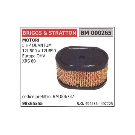 BRIGGS&STRATTON filtre à air pour tondeuse à gazon 5HP QUANTUM