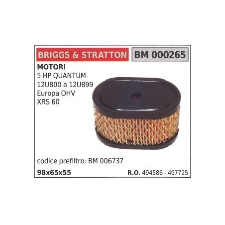 BRIGGS&STRATTON lawn mower mower air filter 5HP QUANTUM