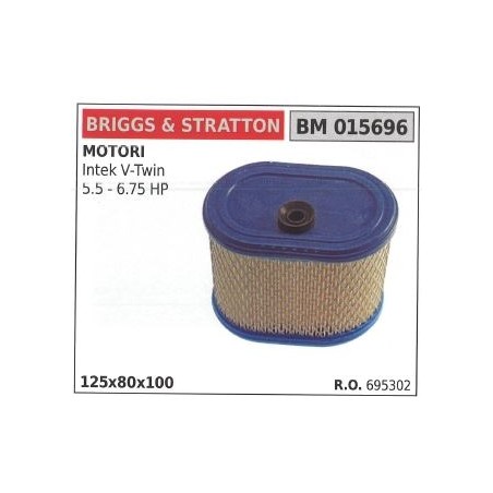 Filtro aria BRIGGS&STRATTON rasaerba tosaerba tagliaerba intek ELS V TWIN | Newgardenstore.eu