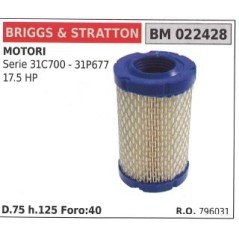 BRIGGS&STRATTON Luftfilter für Rasenmäher SERIE 31C700 | Newgardenstore.eu