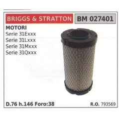 BRIGGS&STRATTON air filter lawn mower mower SERIES 31Exxx | Newgardenstore.eu