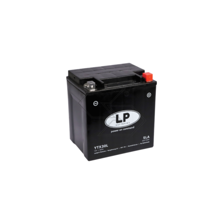 SLA Battery YTX30L 12 V - 30 Ah R106318 | Newgardenstore.eu