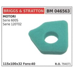 Filtre à air BRIGGS&STRATTON tondeuse série 600S 120T02