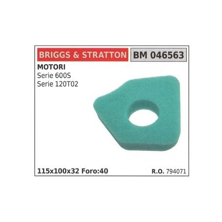 Filtre à air BRIGGS&STRATTON tondeuse série 600S 120T02 | Newgardenstore.eu