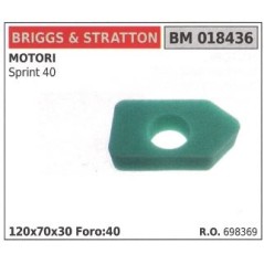 Filtre à air BRIGGS&STRATTON tondeuse à gazon tondeuse sprint 40 698369 | Newgardenstore.eu