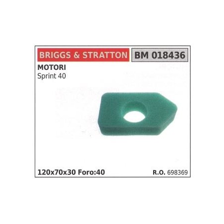 Filtre à air BRIGGS&STRATTON tondeuse à gazon tondeuse sprint 40 698369 | Newgardenstore.eu