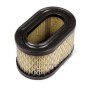 BRIGGS&STRATTON air filter lawn mower 5 hp oval filter