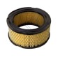 Filtro aria BRIGGS&STRATTON trattorino tagliaerba rasaerba 10 12 HP verticale