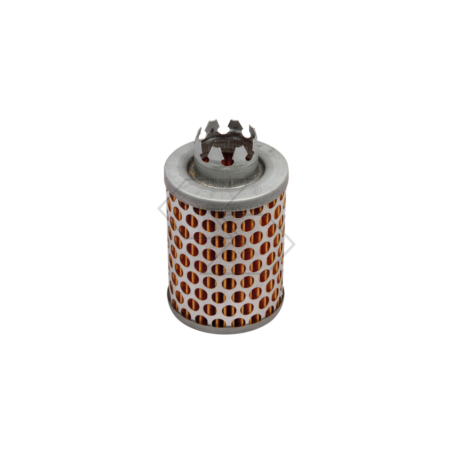 TECUMSEH H30-TC200 AIR FILTER R140496 | Newgardenstore.eu