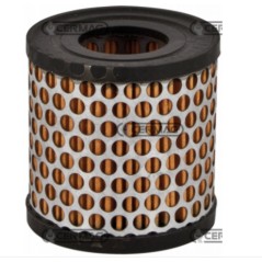 Filtre à air cylindrique pour moteur BRIGGS & STRATTON à arbre horizontal 5 Hp 12039 | Newgardenstore.eu