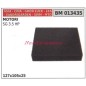 Luftfilter CINA Motorpinne SG 3,5 PS 013435