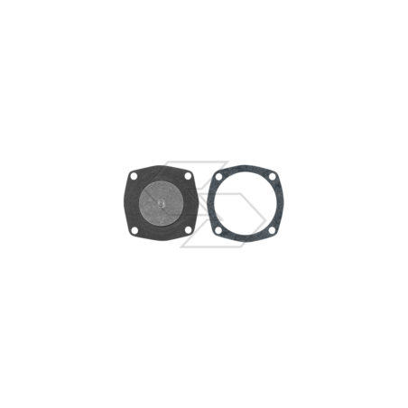 Vergaser-Membransatz TECUMSEH 630750 R125106 | Newgardenstore.eu