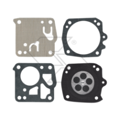 TILLOTSON DG-7HS R121328 MEMBRANE KIT | Newgardenstore.eu