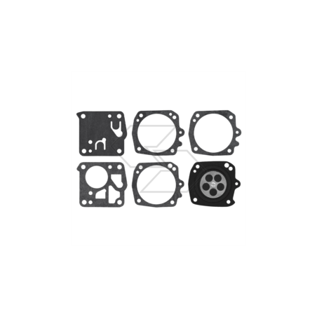 TILLOTSON DG-10HS MEMBRANE KIT R121376 | Newgardenstore.eu