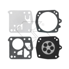 TILLOTSON DG-9HS R121321 MEMBRANE KIT | Newgardenstore.eu