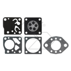 TILLOTSON DG-2HU R121206 MEMBRANE KIT | Newgardenstore.eu