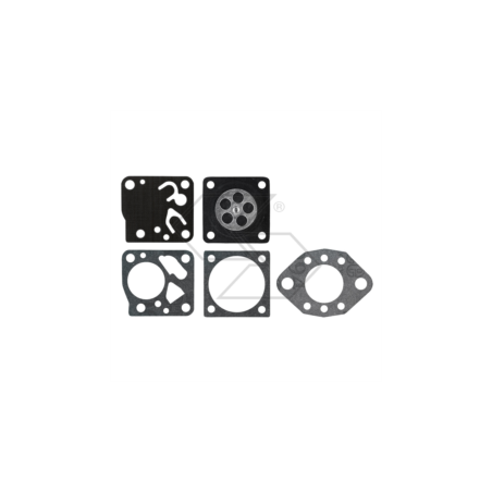 TILLOTSON DG-2HU R121206 MEMBRANE KIT | Newgardenstore.eu