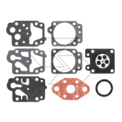 Kit de membranas WALBRO D11-WYL R122336
